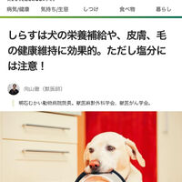 画像1507