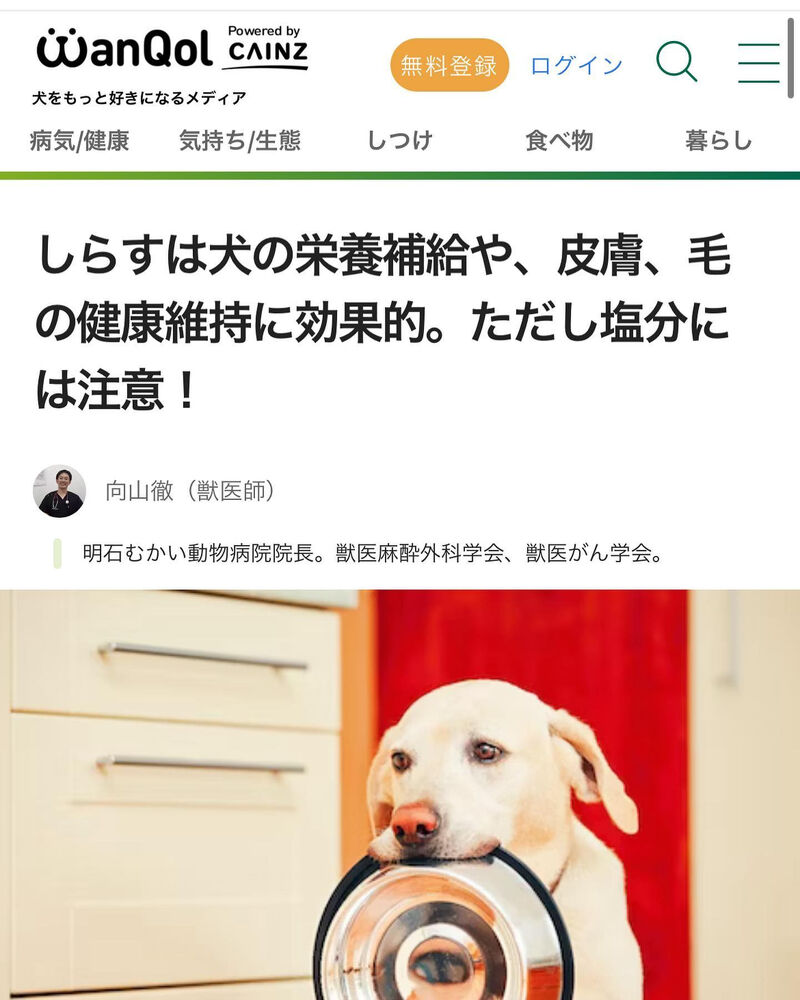 画像1507