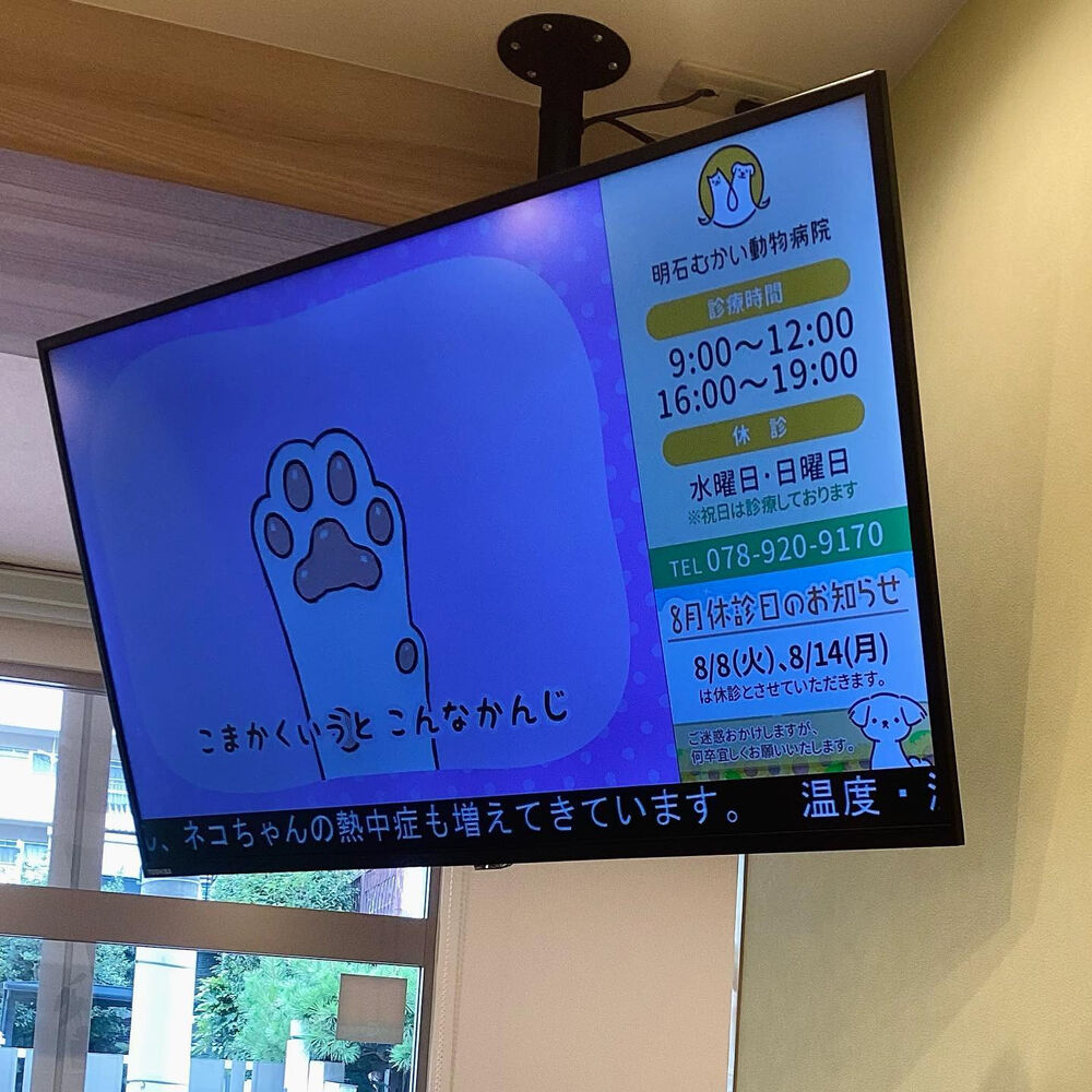 画像1549