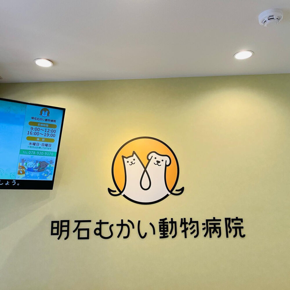 画像1558