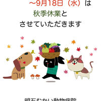 画像1918