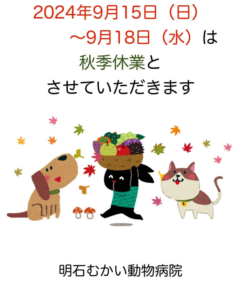 画像1918