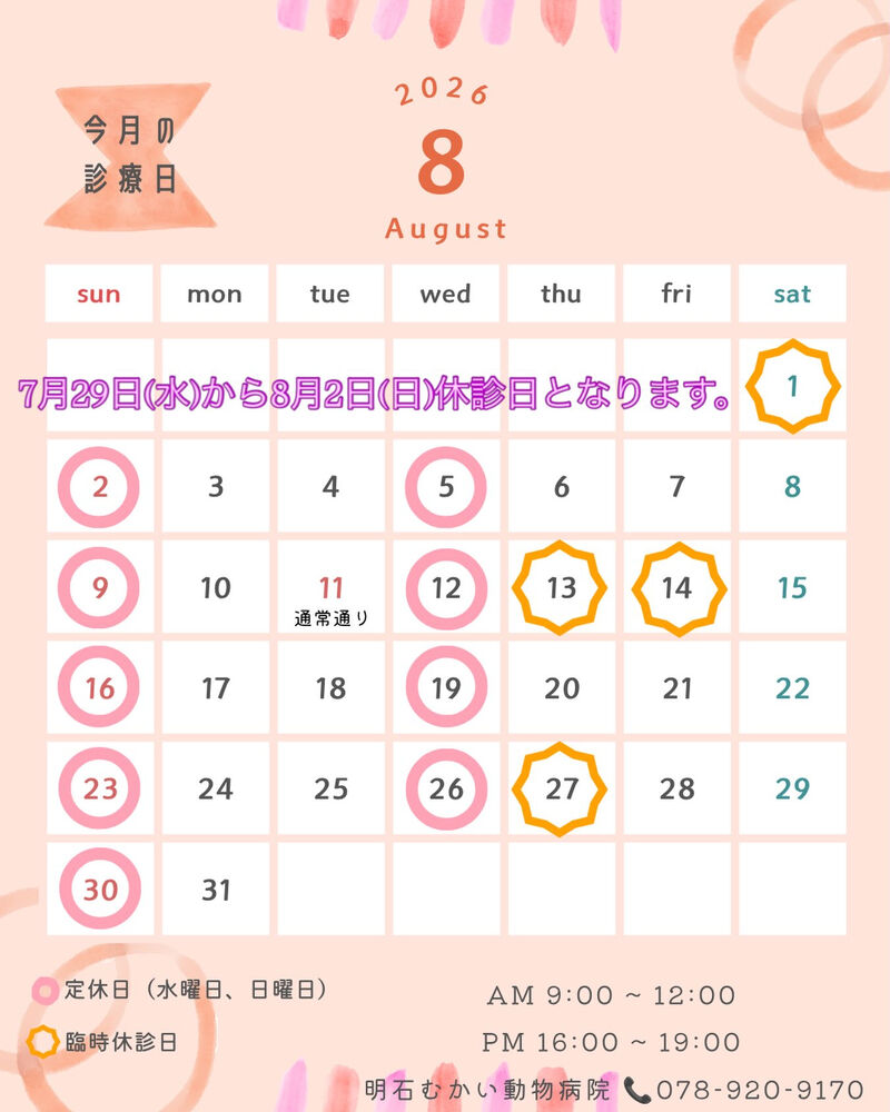 画像2299