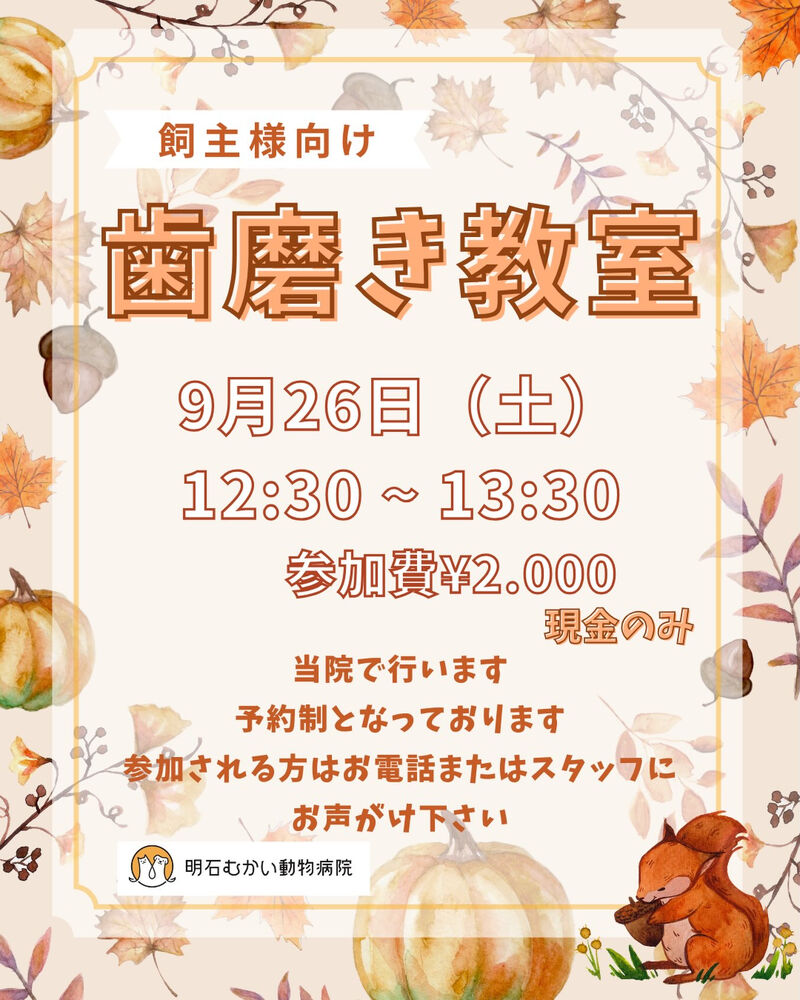 画像2320