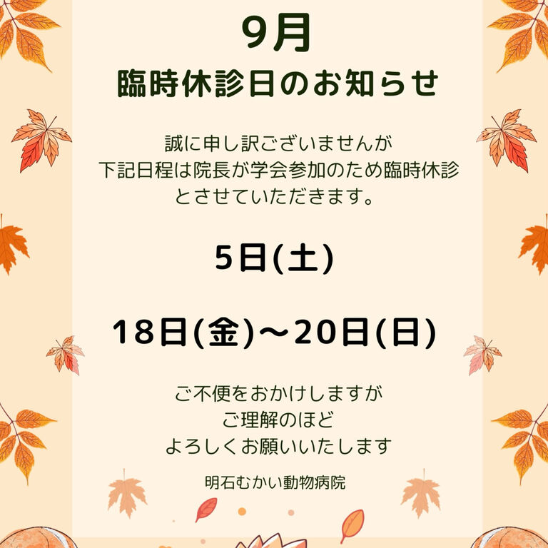 画像2337