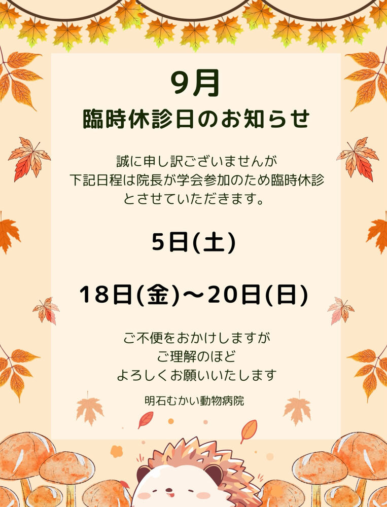 画像2337