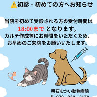 画像2358