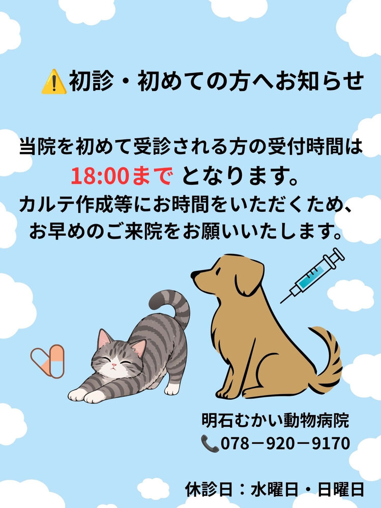 画像2358